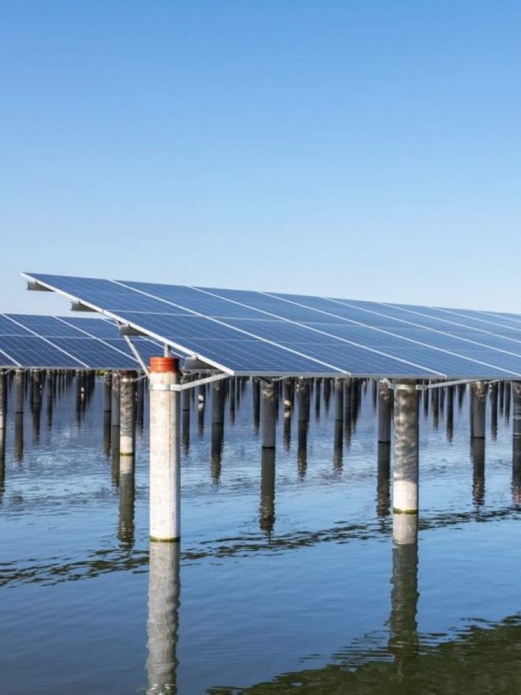 rows-of-solar-panels-on-the-water-e1641315759823-piizhni38n0fa27o8geb9x8iwwt8ed66fcaxk1tcgo